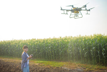 Young smart farmer controlling drone spraying fertilizer and pesticide over farmland,High technology innovations and smart farming