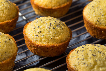Homemade Lemon Poppyseed Muffins