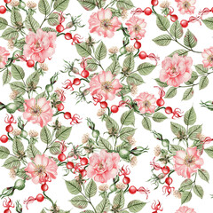 Beautiful watercolor seamless pattern with rose hip flowers and leaves. Illustration.