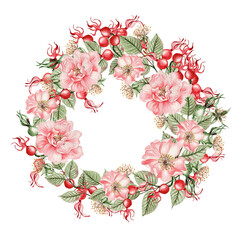 Beautiful watercolor wreath with rose hip flowers and buds.