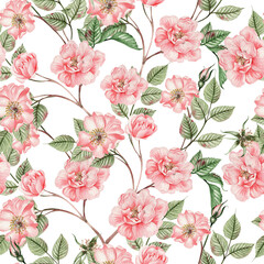 Beautiful watercolor seamless pattern with rose hip flowers and leaves. Illustration.