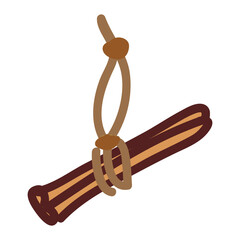 Winter aromatic cinnamon spices for decoration and preparation of pastries and drinks. Vector.