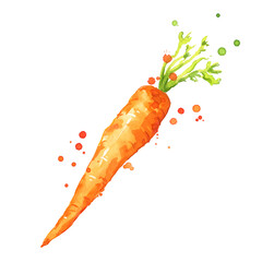 Sweet fresh carrot watercolor illustration - 484713748