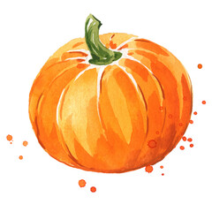 Ripe pumpkin watercolor illustration hand painted