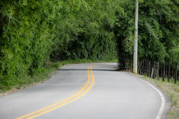 Obraz premium Linda estrada com fundo para paisagem da natureza. 