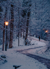 Winter Forest Lantern