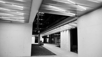 Amazing night cityscape. Office building at night, building facade with glass and lights. View with illuminated modern skyscraper. Scenic glowing windows of skyscrapers at evening. Black and white.