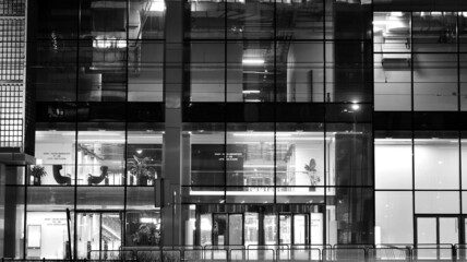 Amazing night cityscape. Office building at night, building facade with glass and lights. View with illuminated modern skyscraper. Scenic glowing windows of skyscrapers at evening. Black and white.