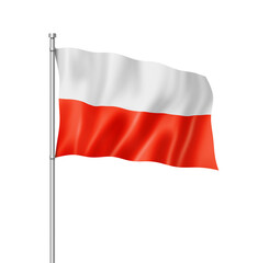 Polish flag isolated on white