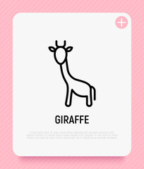 Cute and funny giraffe thin line icon. Modern vector illustration.