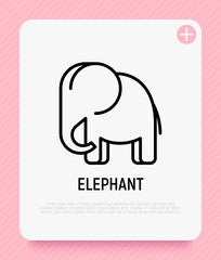 Cartoon elephant thin line icon. Modern vector illustration.
