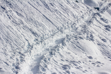 Snowy trails in Garibaldi