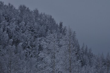 Nature is the world around us, not created by man. That which is primary, which appeared long before man. The natural habitat of man. Forests, mountains, seas, oceans, flora, fauna, and man himself.