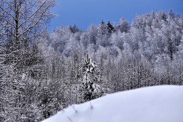 Nature is the world around us, not created by man. That which is primary, which appeared long before man. The natural habitat of man. Forests, mountains, seas, oceans, flora, fauna, and man himself.