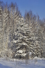 Nature is the world around us, not created by man. That which is primary, which appeared long before man. The natural habitat of man. Forests, mountains, seas, oceans, flora, fauna, and man himself.