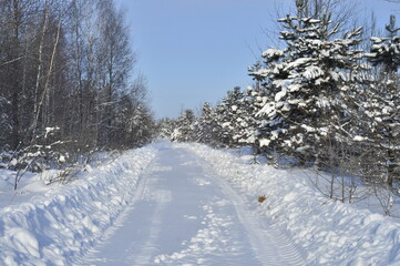 Nature is the world around us, not created by man. That which is primary, which appeared long before man. The natural habitat of man. Forests, mountains, seas, oceans, flora, fauna, and man himself.