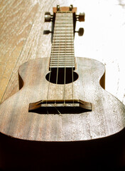 Fototapeta premium Ukelele