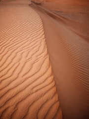 Sommet d'une dune de sable dans le désert d'Oman