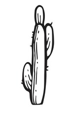 Large prickly cactus. An exotic southern plant from the desert. Outline sketch. Hand drawing is isolated on a white background. Vector