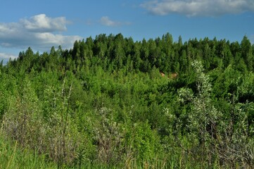 Nature is the world around us, not created by man. That which is primary, which appeared long before man. The natural habitat of man. Forests, mountains, seas, oceans, flora, fauna, and man himself.