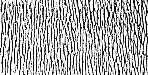 Rough black and white texture vector. Distressed overlay texture. Grunge background. Abstract textured effect. Vector Illustration. Black isolated on white background. EPS10