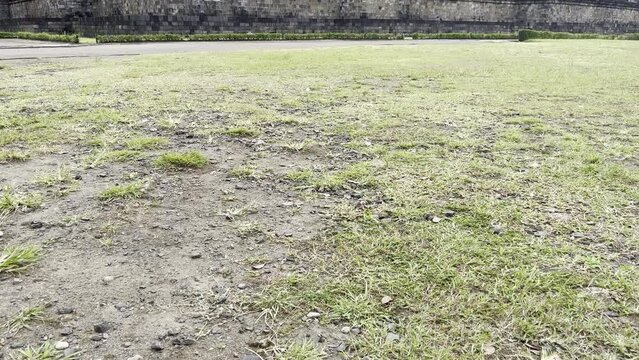 ボロブドゥール寺院 ジョグジャカルタ ジャワ島 インドネシア 東南アジア