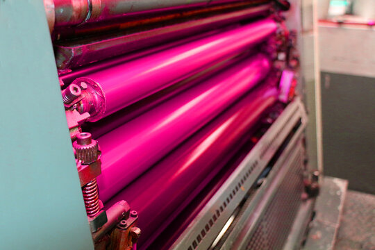 the printing press's ink carrier rollers. Light pink (purble) dyed printing ink roller. Pink (purble) color cylinder.