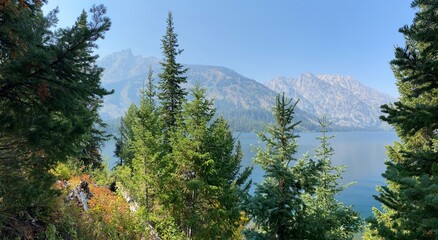 Forestry in teton