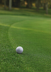 golf ball layling on the edge of green