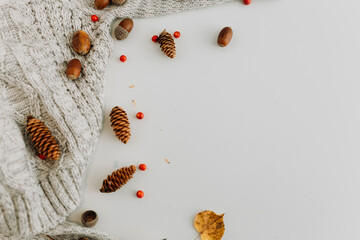 Flat lay with acorns, mountain ash, cones, grey sweater on  white