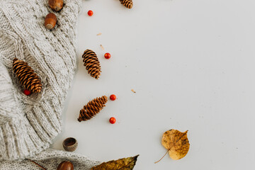 Flat lay with acorns, mountain ash, cones, grey sweater on  white