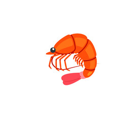 Shrimp vector isolated icon. Emoji illustration. Shrimp vector emoticon