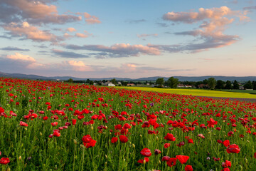 Fototapeta na wymiar Summer rural landscape of Turiec region, Slovakia.