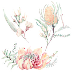 Watercolor australian flowers set in vintage style.