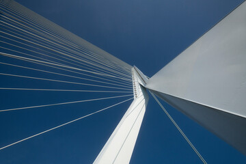 Erasmus Bridge in Rotterdam, the Netherlands