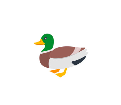 Duck vector isolated icon. Emoji illustration. Duck vector emoticon