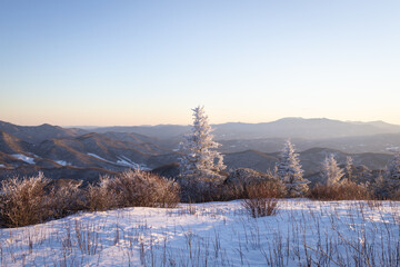 Snowy Winter Sunrise at Roan Mountain on the North Carolina Tennessee Border