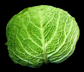 Fototapeta premium green cabbage lies on a black background