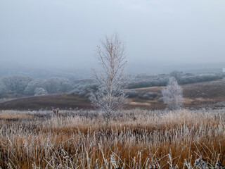 first frosts in central Russia