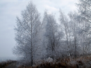 Obraz na płótnie Canvas first frosts in central Russia