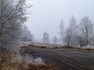 first frosts in central Russia