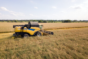 Aerial view of combine harvester harvesting large ripe wheat field. Agriculture from drone view