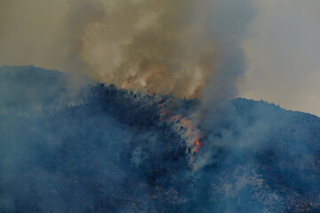 Fire in the forest mountain in the Italian town of Ventimiglia, all the mountains in the smoke, the villa is on fire, the fire service aircraft extinguish a fire