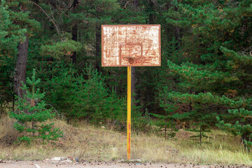 A rusty basketball hoop in the middle of the forest.