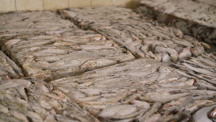 Fish factory sorting packing frozen container. Frozen fish with ice at the production factory.