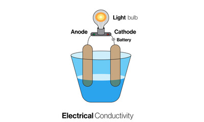Exploring Electrical Conductivity: Science Vector Depicting Cathode-Anode Experiment with Beaker and Light Bulb Connection.