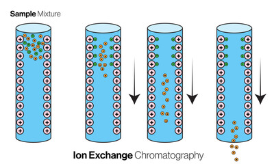 isolated ion-exchange illustration in white background.