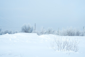 winter landscape snowy trees blue sky