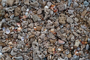 Close-up of a pile of stones and pebbles on the seashore