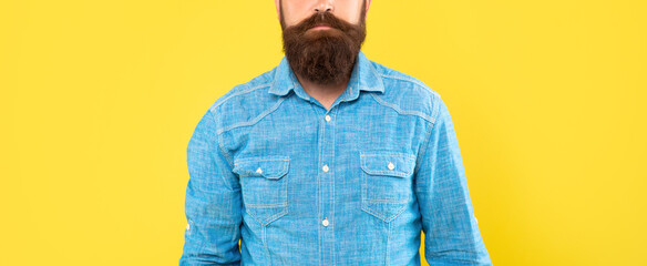 Bearded mustached man crop view in denim shirt yellow background, beard